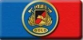 DFFA_Gold.jpg